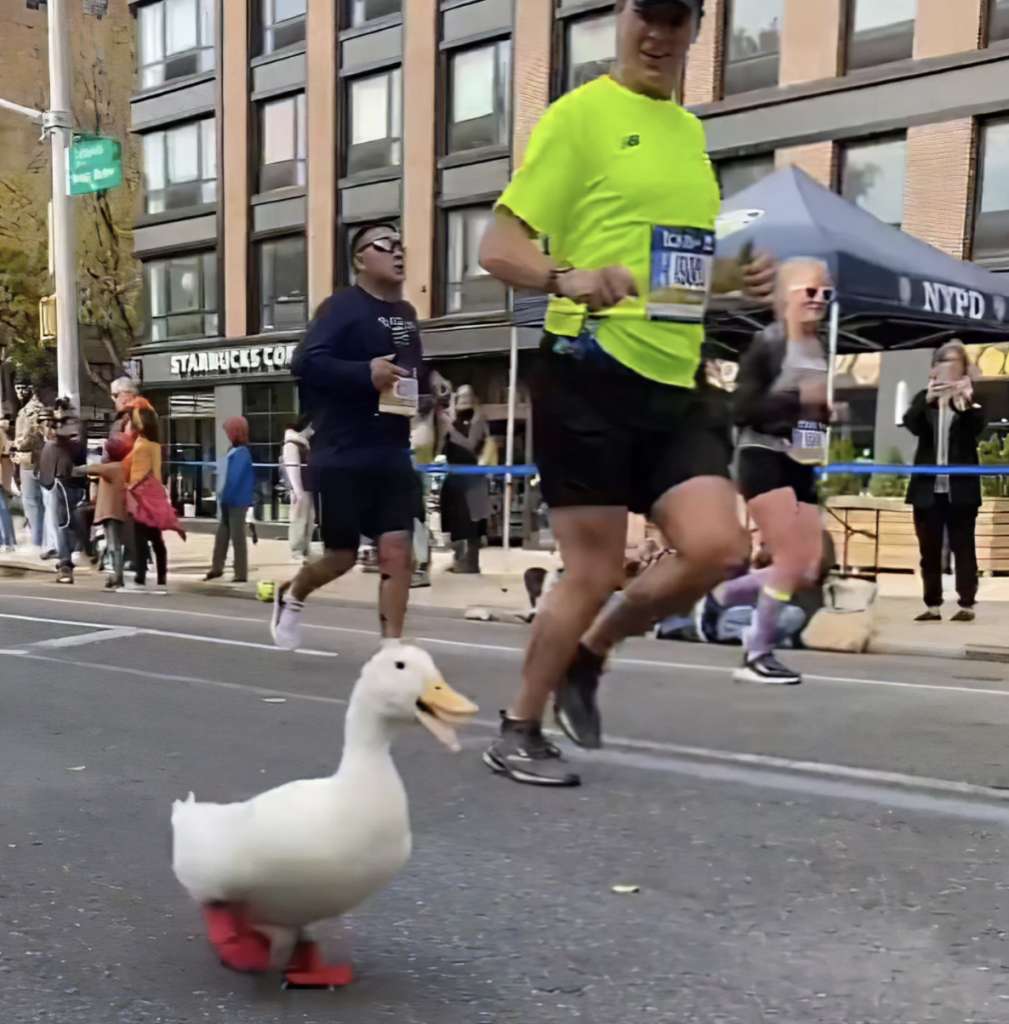 Duck runs the NYC Marathon wearing red running shoes and people can't