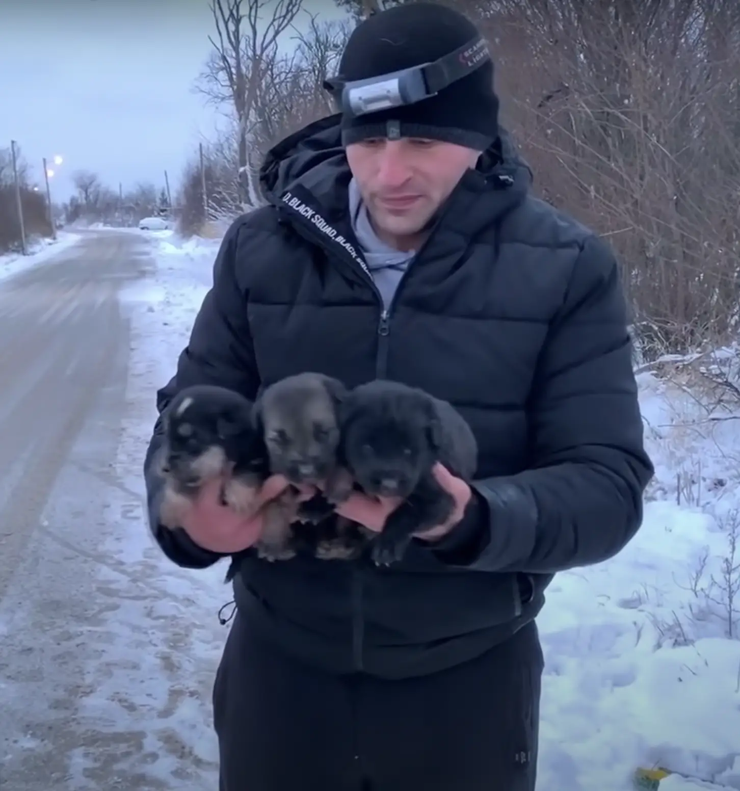 In this photo we have Milan, the hero of the story, holding the pups he rescued from the pipe.